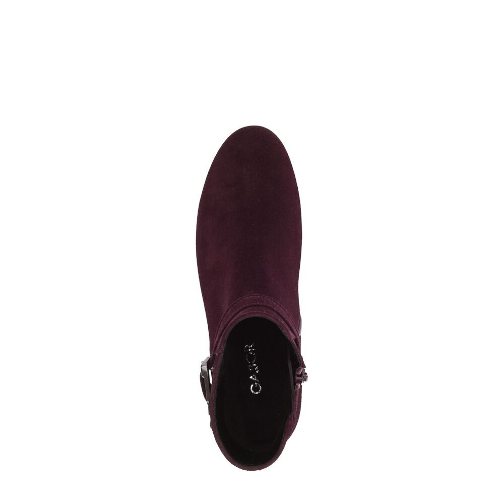 Gabor Korte Laars 8031.01.007 Mulberry Bordeaux Wijdte H - 4069356521221