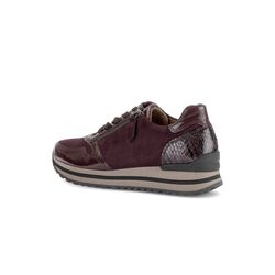 Gabor Sneaker 6021.01.003 Mulberry Bordeaux Wijdte H - 4069356577532