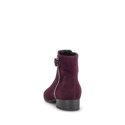 Gabor Korte Laars 8031.01.007 Mulberry Bordeaux Wijdte H - 4069356521177
